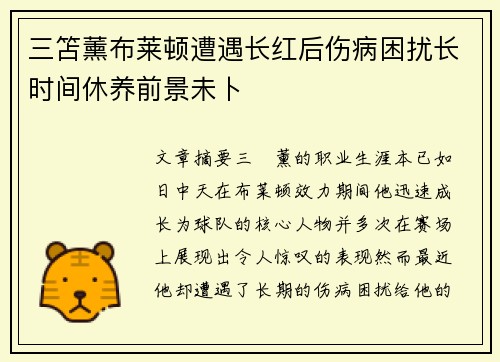 三笘薰布莱顿遭遇长红后伤病困扰长时间休养前景未卜