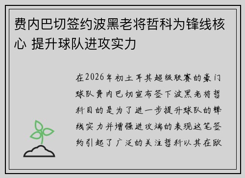 费内巴切签约波黑老将哲科为锋线核心 提升球队进攻实力
