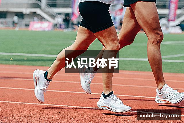 认识B体育